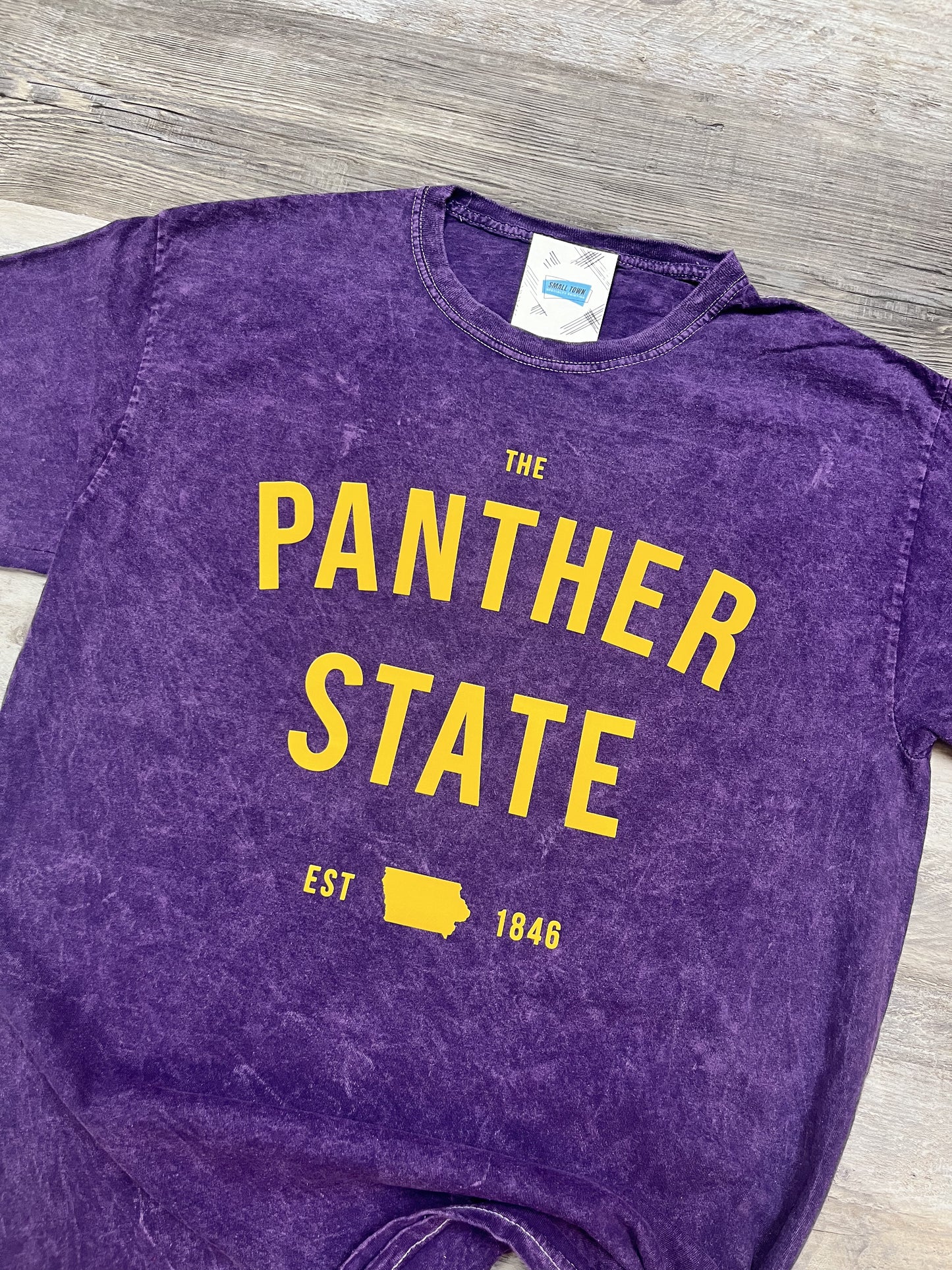 Panther State Mineral Wash Tee